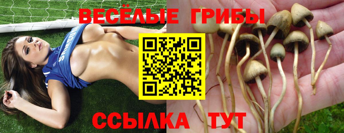 Коломна  Псилоцибиновые грибы ЛСД  Вход с VPN  Псилоцибиновые грибы Magic Shrooms 